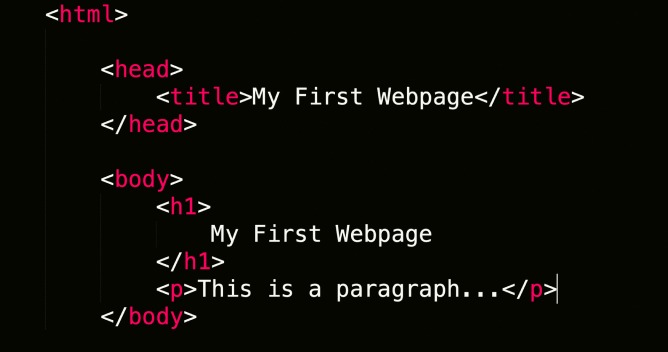 programming code
