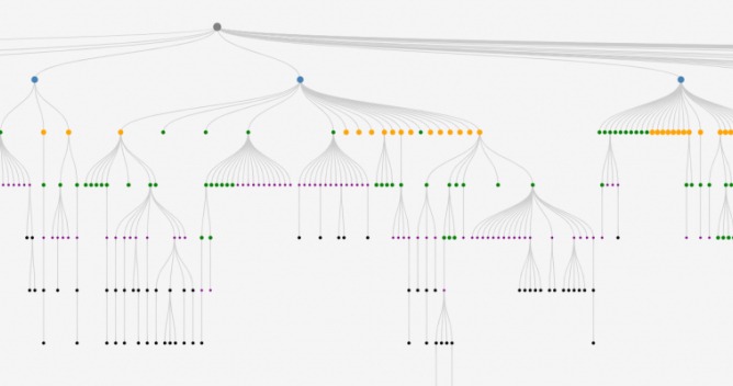 networks
